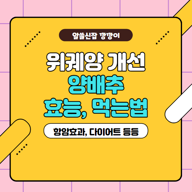  양배추 효능 및 먹는법, 고르는법 정리