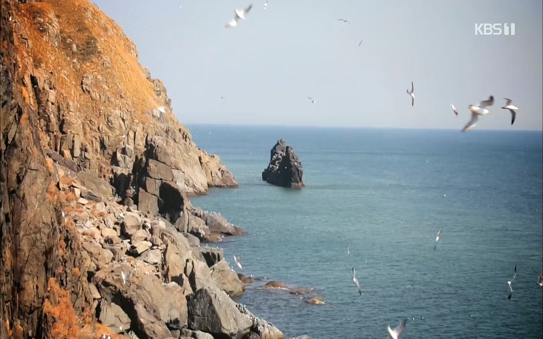 다큐 On.E141p.H264-F1RST.mp4_20220530_202700.824.jpg