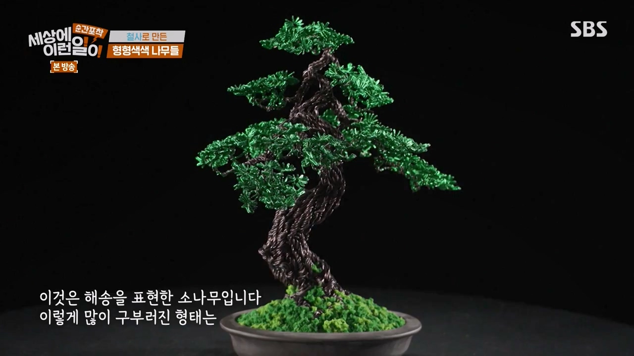 순간포착 세상에 이런일이.E1250.231029p-NEXT.mp4_20231029_153407.695.jpg