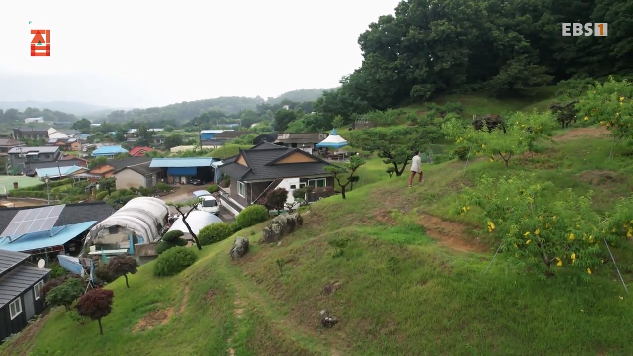 TV - 전 국민의 평생학교 EBS아파봐야 지을 수 있는 집.mp4_20230816_212616.383.jpg