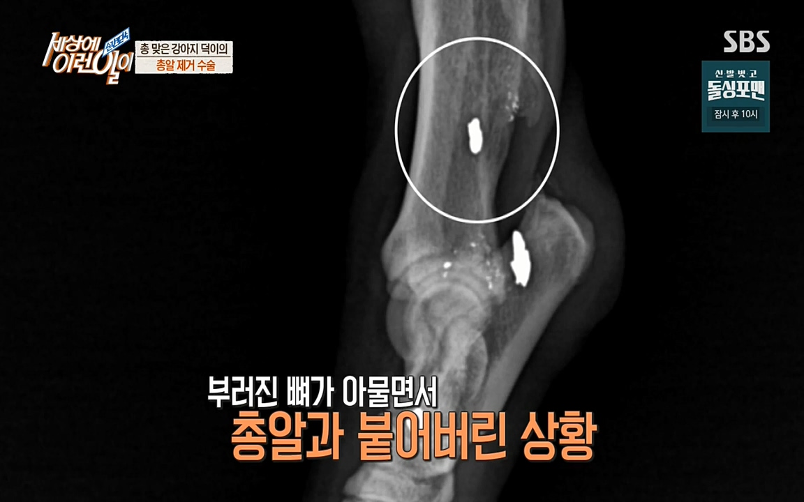 순간포착 세상에 이런일이.E1187.220706p-NEXT.mp4_20220706_202635.379.jpg