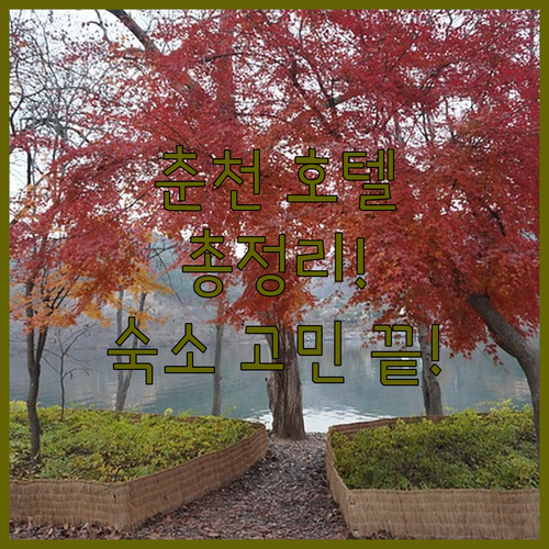 춘천 호텔 완벽 분석 더잭슨나인스부터