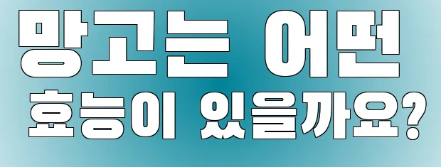 망고는 어떤 효능이 있을까요?