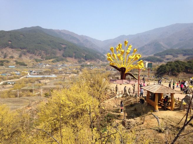 구례 산수유축제 기간 일정 주차장 입장료 가는길 안내 바로가기