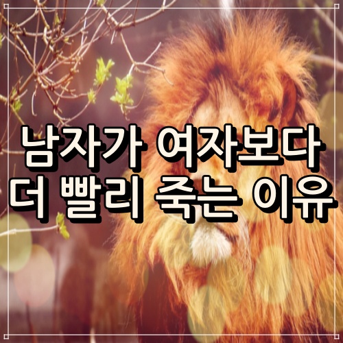  남자가 여자보다 더 빨리 죽는 이유