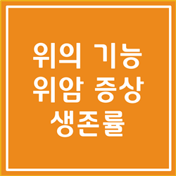 위의 기능, 위암 초기증상 및 말기증상, 위암 생존율에 대해 알아봅시다
