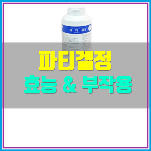  파티겔정 효능 부작용