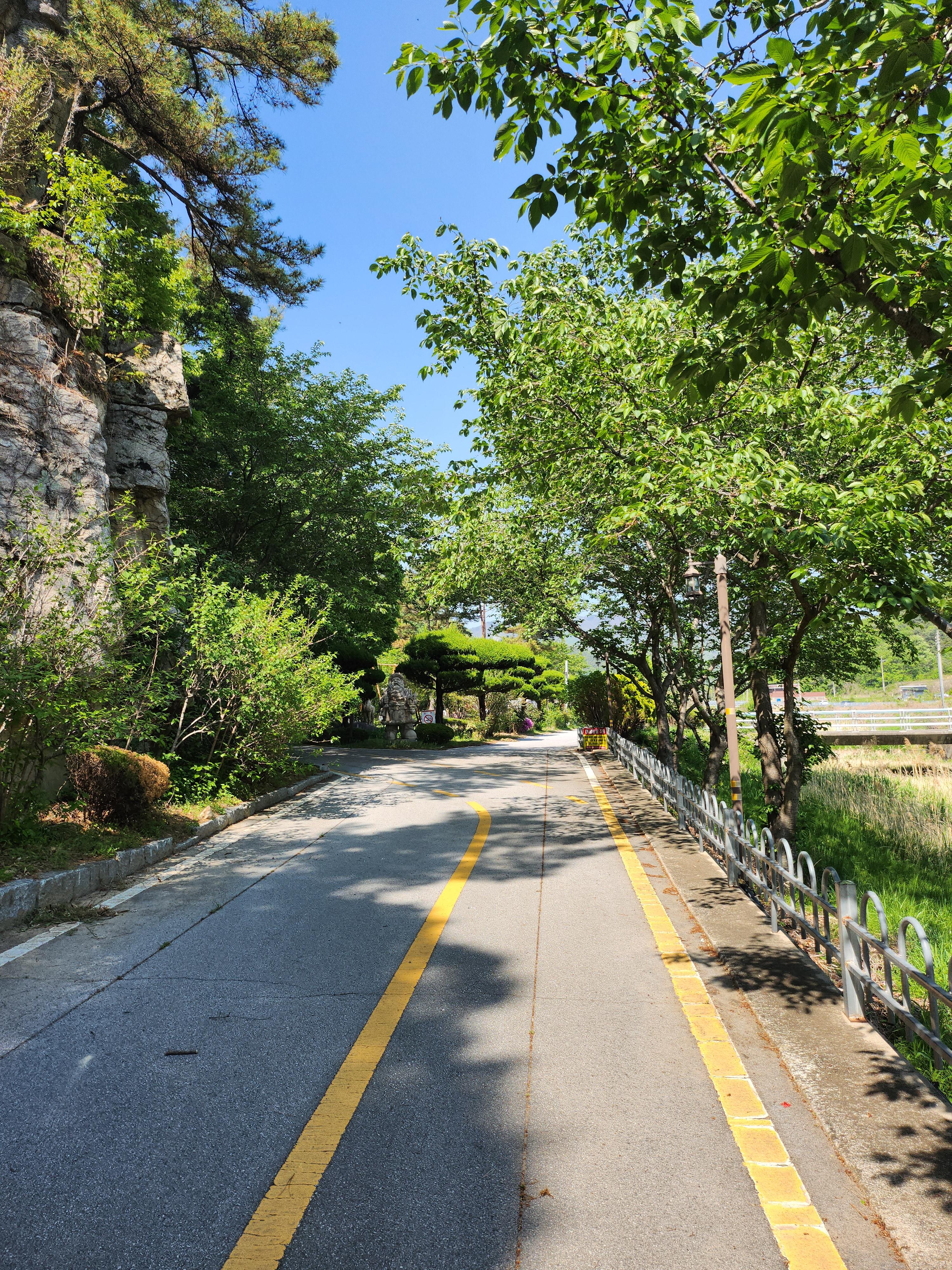 산책로 사진 4
