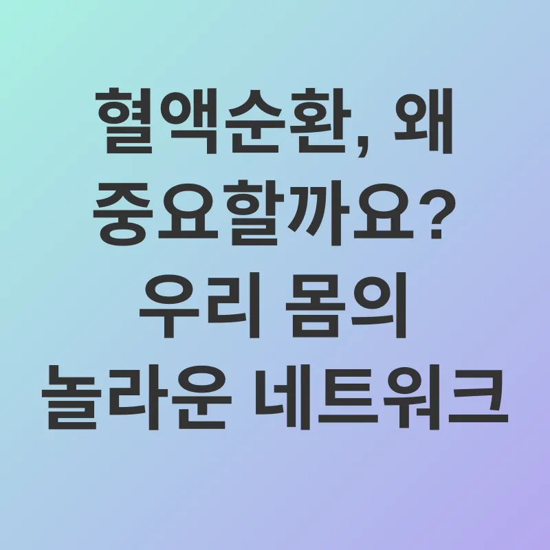 혈액순환 개선_1