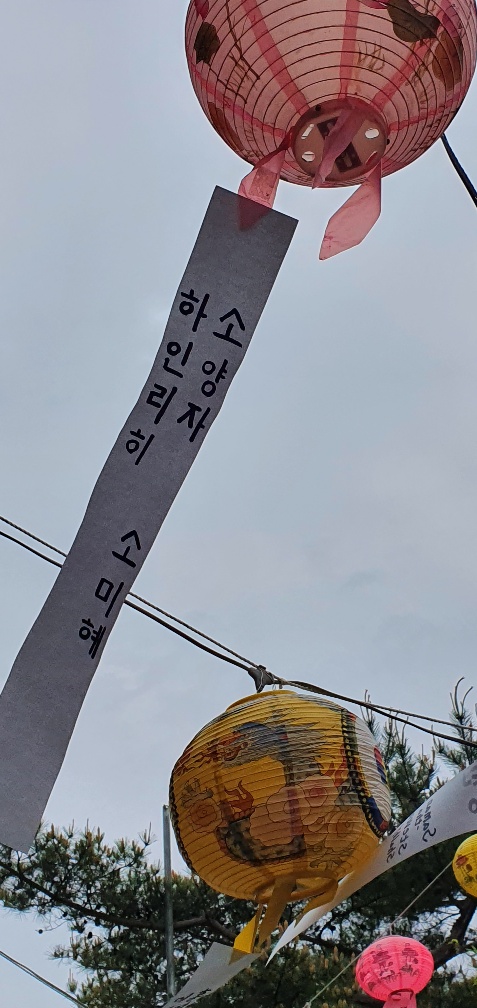 img.jpg