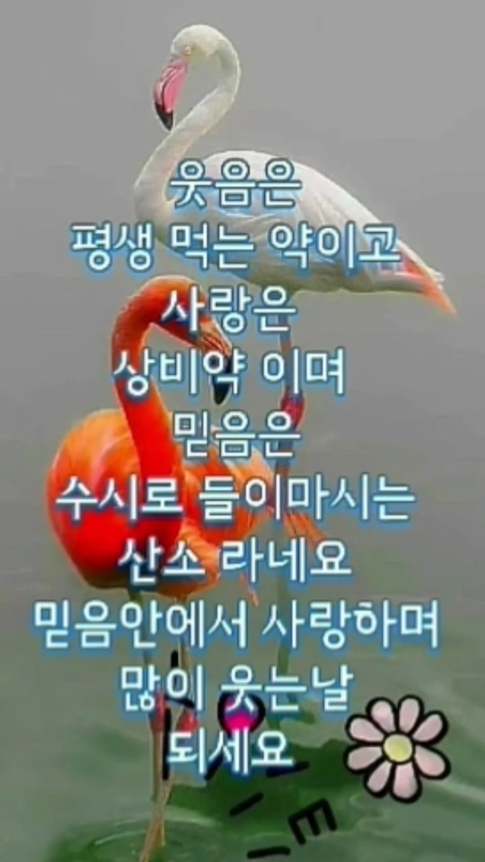 봄꽃 목련과 벚꽃이 한창입니다 / 꽃길만 걸으면 (03/23/22) 61