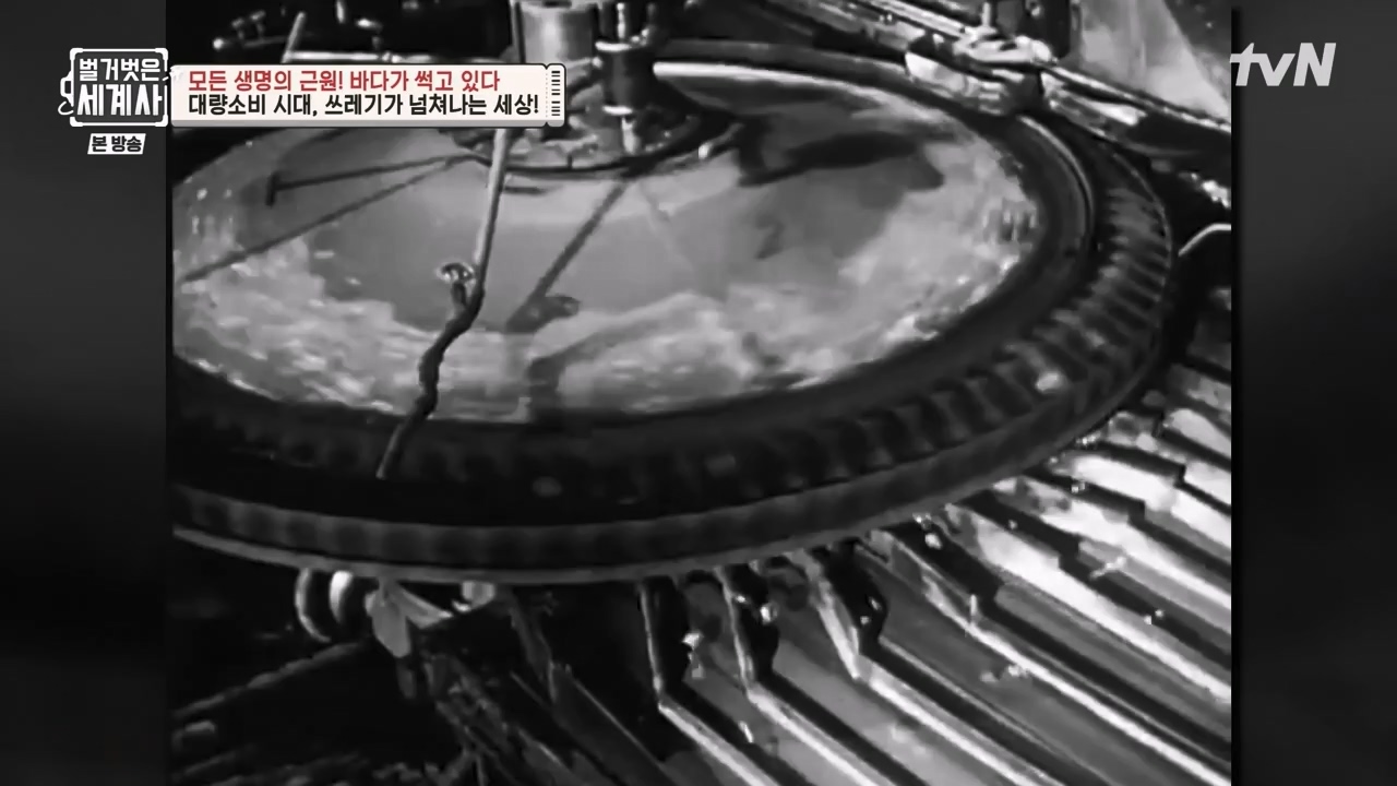 벌거벗은 세계사.E90.230315p-NEXT.mp4_20230419_212535.249.jpg