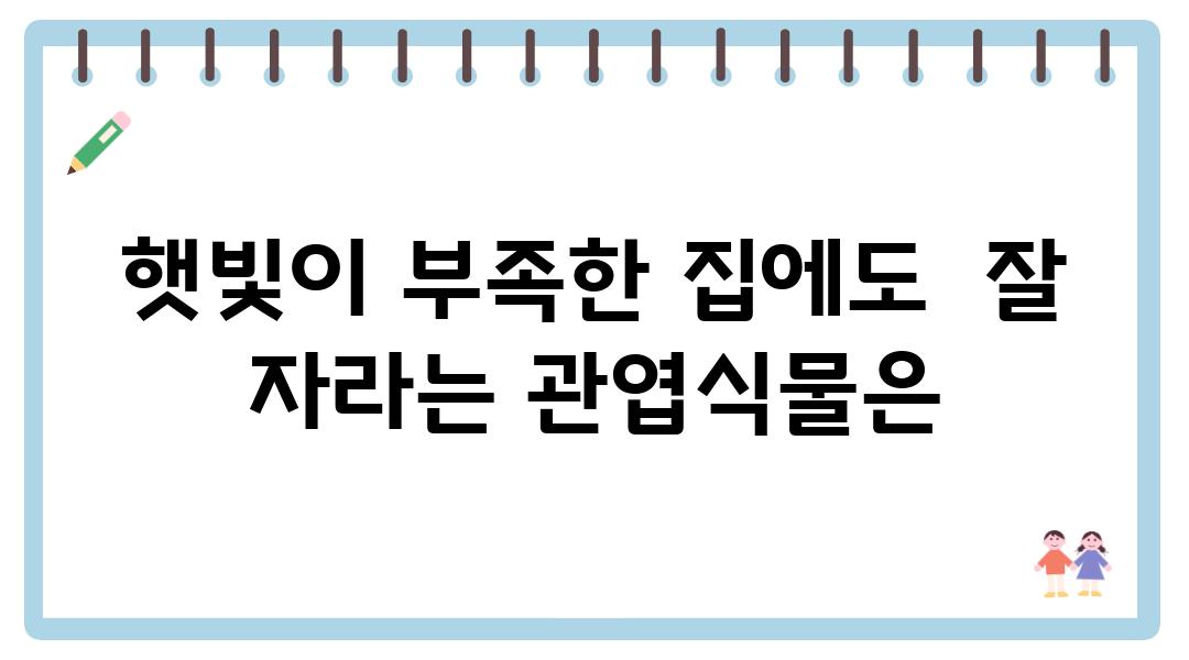 햇빛이 부족한 집에도  잘 자라는 관엽식물은