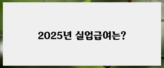 2025년 실업급여 금액의 모든 것: FAQs 안내