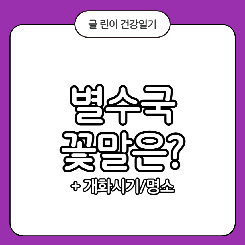 별수국 꽃말