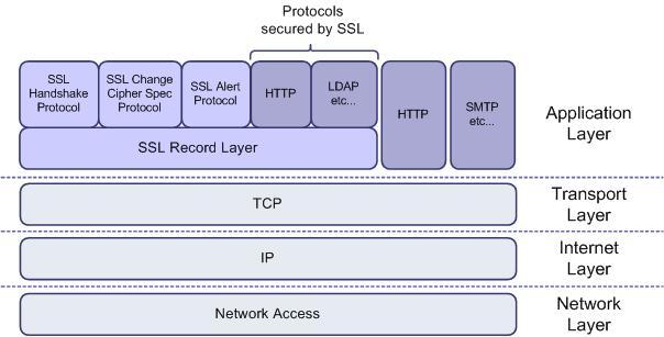  TLS (Transport Layer Security)