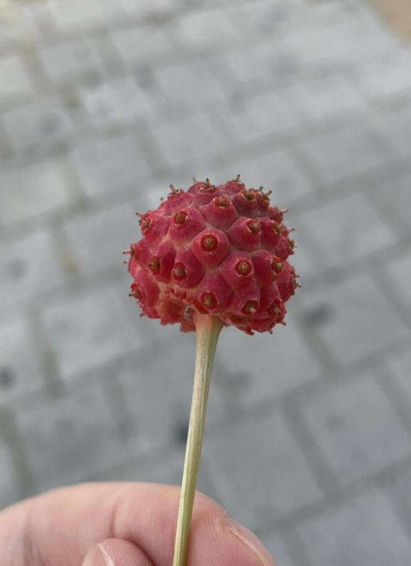 아기 두 돌, 엄마인 당신은 안녕하신가요?