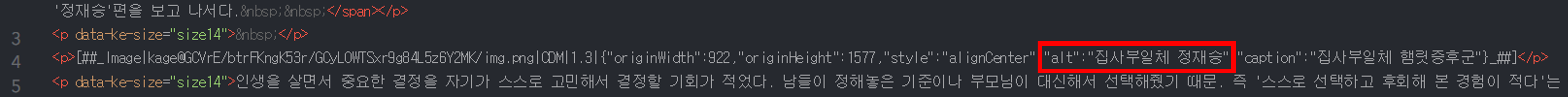 alt 태그 삽입 여부 확인