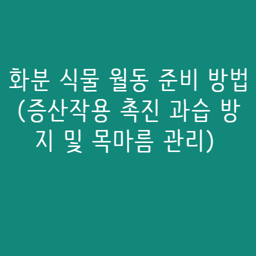 화분 식물 월동 준비 방법 (증산작용 촉진 과습 방지 및 목마름 관리) 화분 식물 월동 준비 방법 (증산작용 촉진 과습 방지 및 목마름 관리)