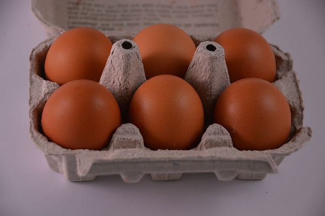 계란 보관법