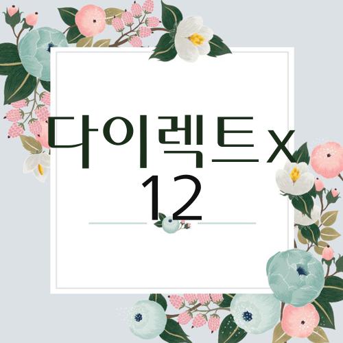 다이렉트x 12