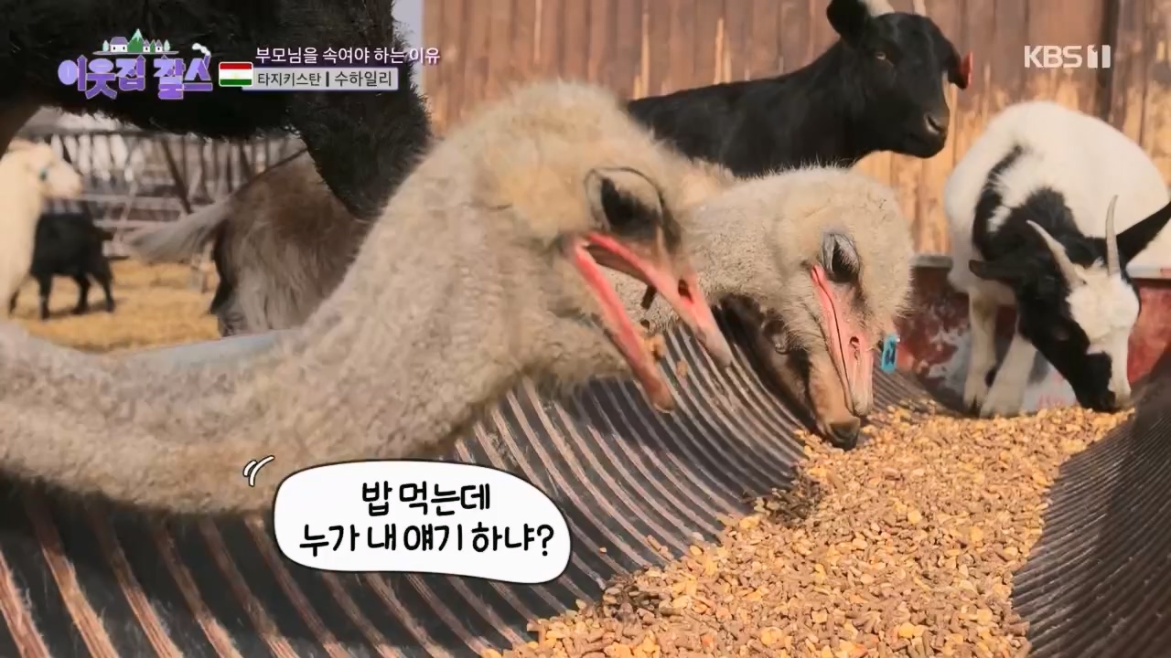 이웃집 찰스.E383.230419p.H264-F1RST.mp4_20230419_202139.983.jpg