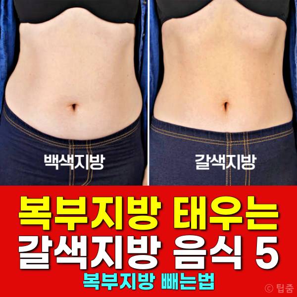 복부지방 빼는법 복부지방 태우는 음식