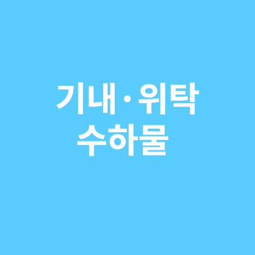 기내 위탁수하물