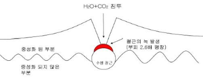  콘크리트 중성화의 개요(정의, 발생원인, 양상) 및 중성화 시험방법과 방지 대책