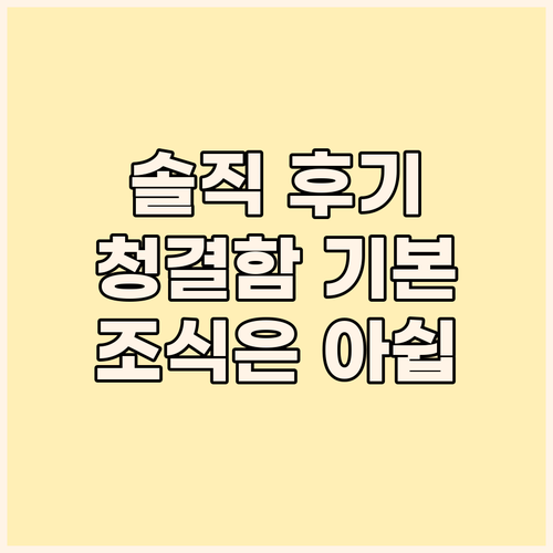 비보비바 이시가키지마 솔직 후기, 청