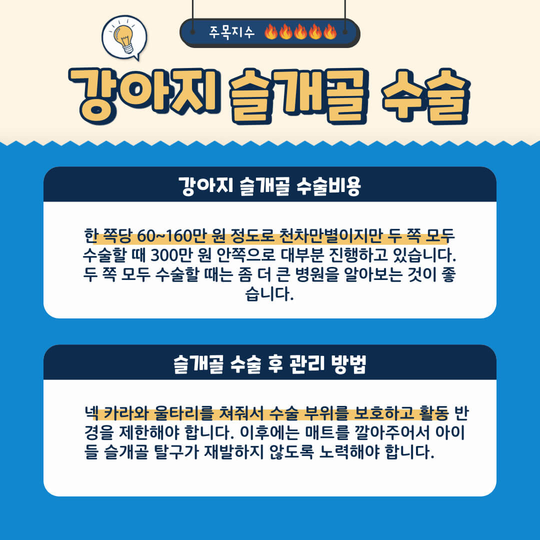 슬개골 탈구 수술 비용 및 관리 방법