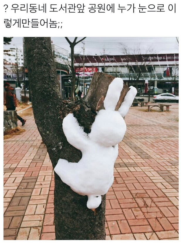  겨울에만 나오는 눈토끼