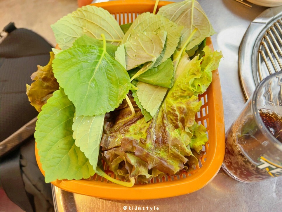 꼬리집 이미지