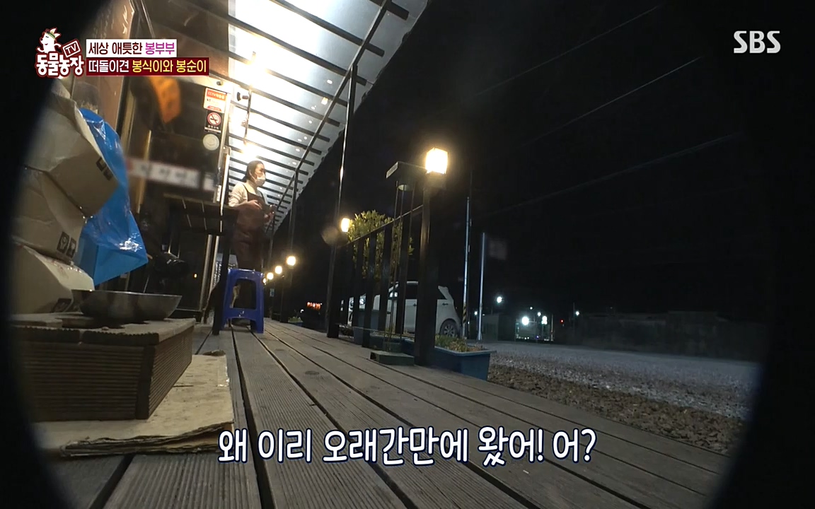 TV 동물농장.E1070.220523p-NEXT.mp4_20220522_182032.462.jpg
