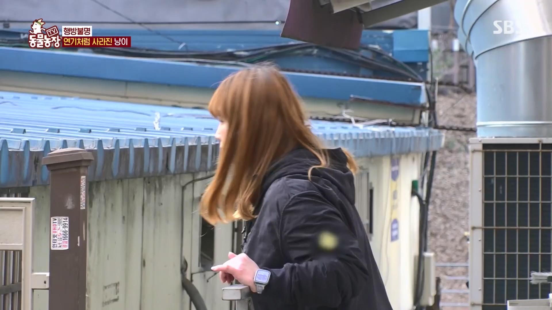 TV 동물농장.E1170.240505p.H264-F1RST.mp4_20240505_153810.784.jpg