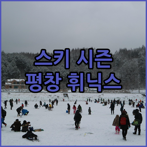 스키 시즌 강추! 평창 휘닉스 호텔,