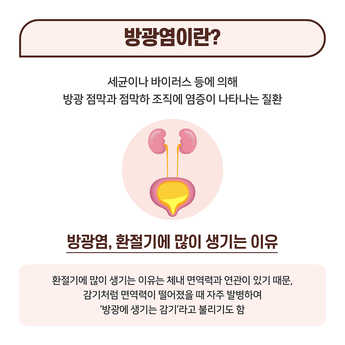 방광염 증상