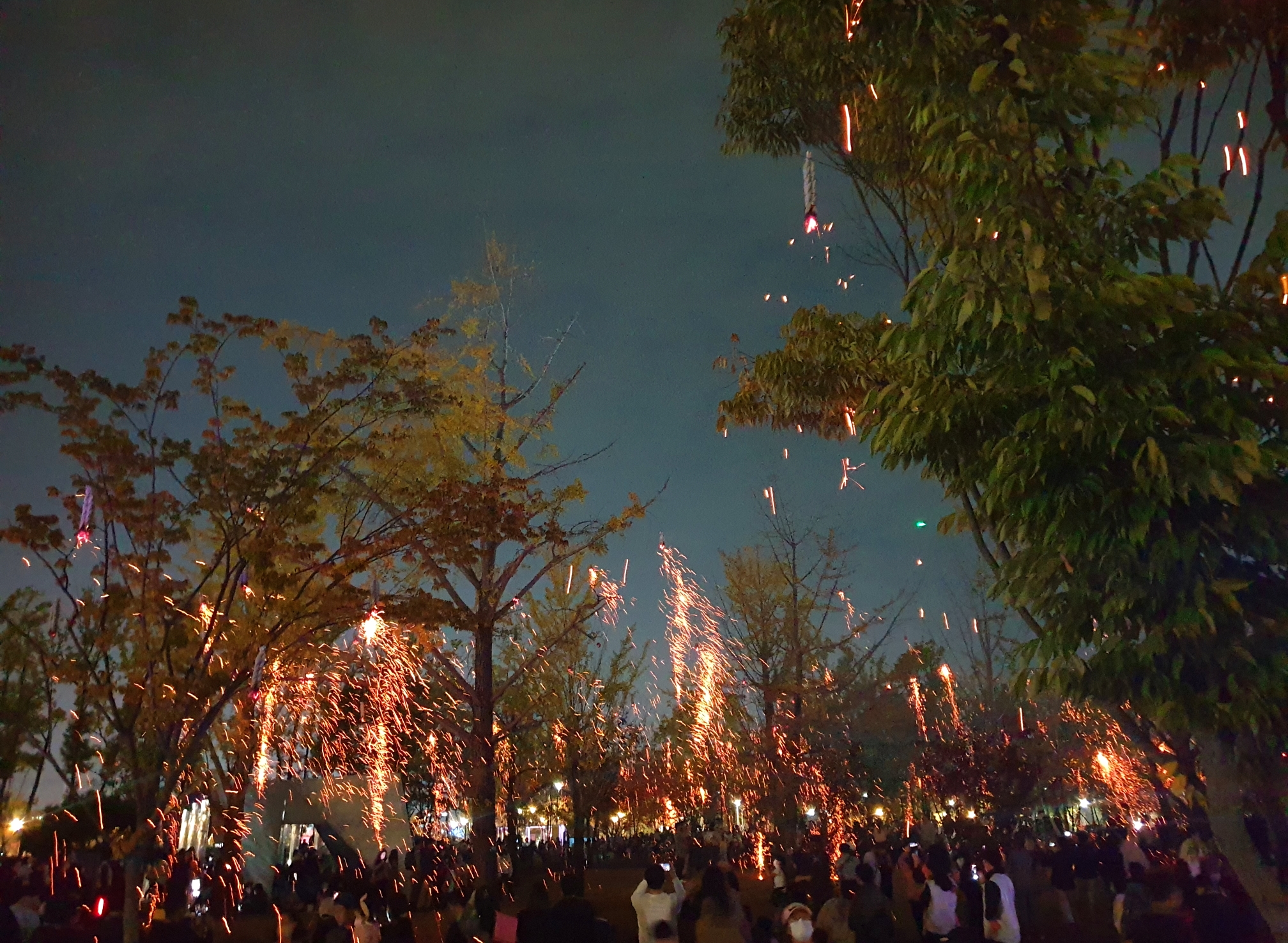  세종시 중앙공원 23년 낙화축제 행사 일정 feat.22년 방문기