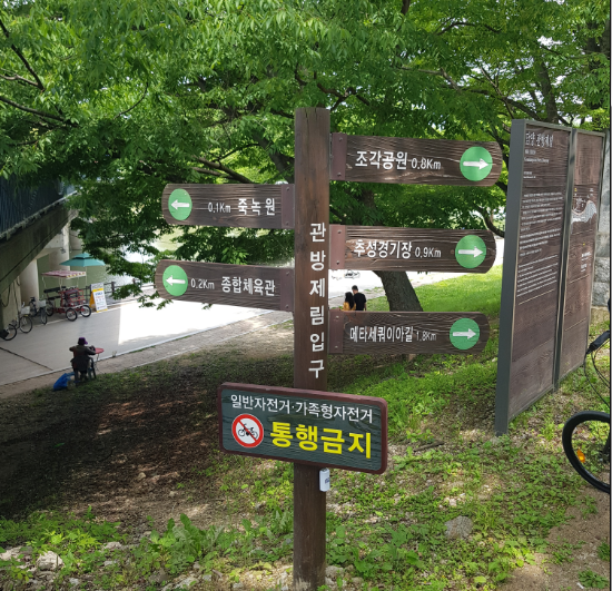  담양 관광 명소 관방제림 나들이