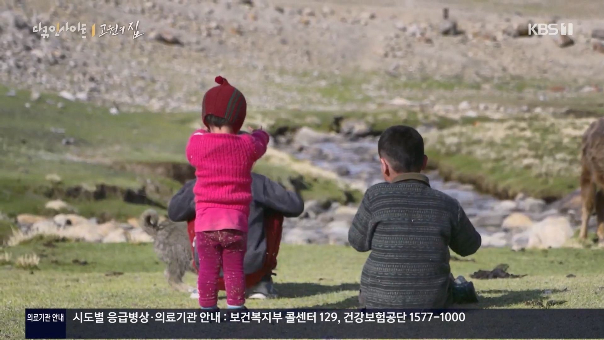 다큐 인사이트.E176.240328p.H264-F1RST.mp4_20240330_162548.425.jpg