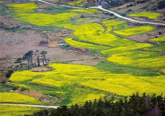 여수 화하도 배편 가는법 즐길거리_3