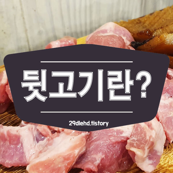 5가지-부위의-뒷고기