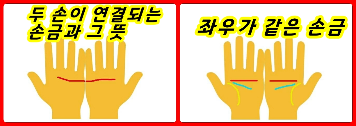  초강력한 행운의 손금