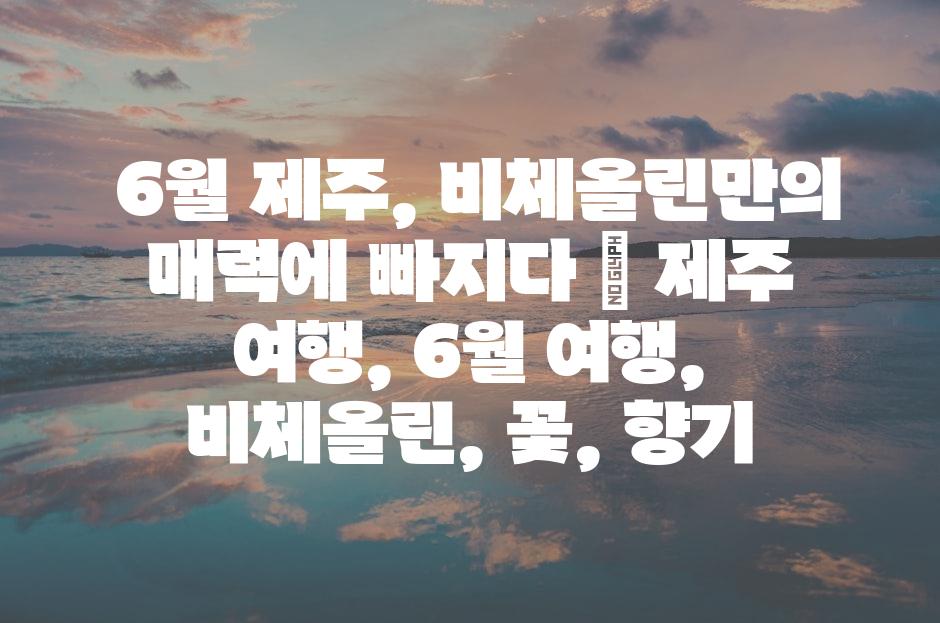 샘플 (81)