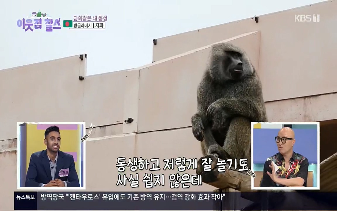 이웃집 찰스.E351.220824p.H264-F1RST.mp4_20220824_181102.603.jpg