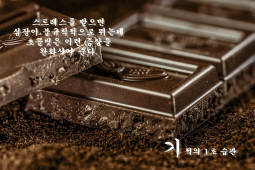 초콜릿