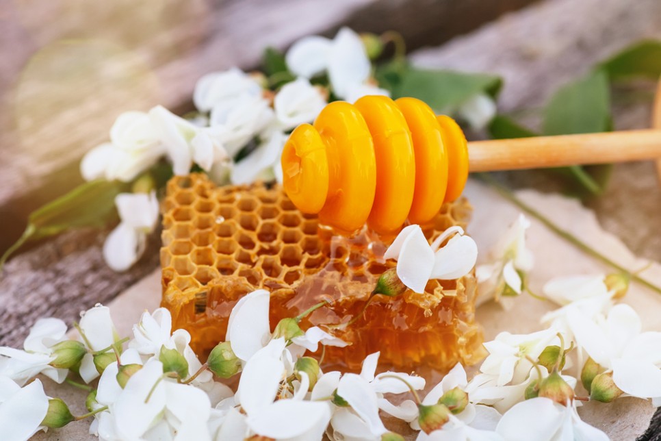 및 효능(아카시아, 마누카, 피노키, 끝나라꿀, 밤꿀, 석청꿀) 꿀 종류 5