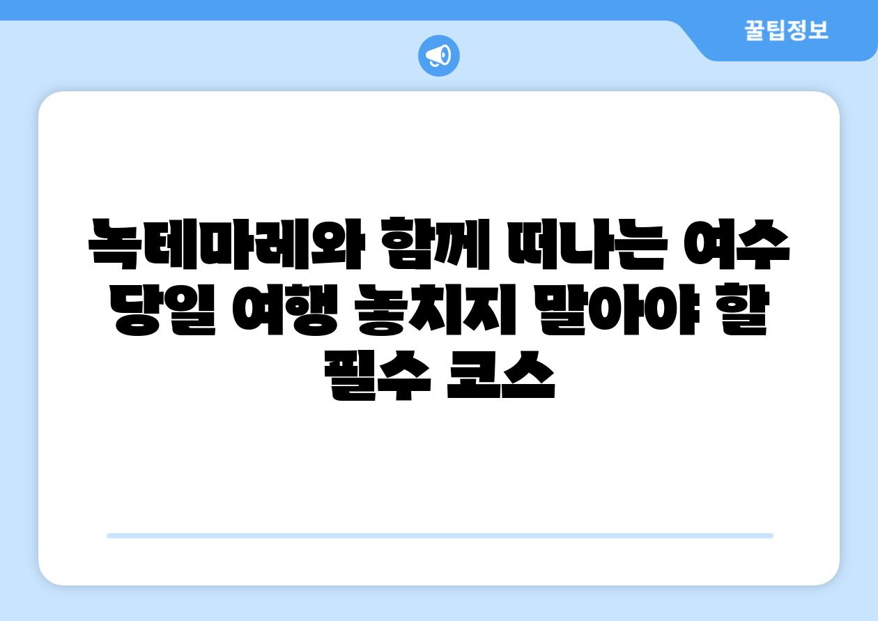 녹테마레와 함께 떠나는 여수 당일 여행 놓치지 말아야 할 필수 코스