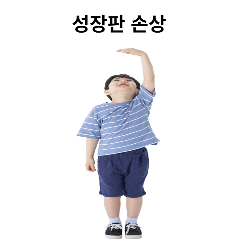 성장판 손상