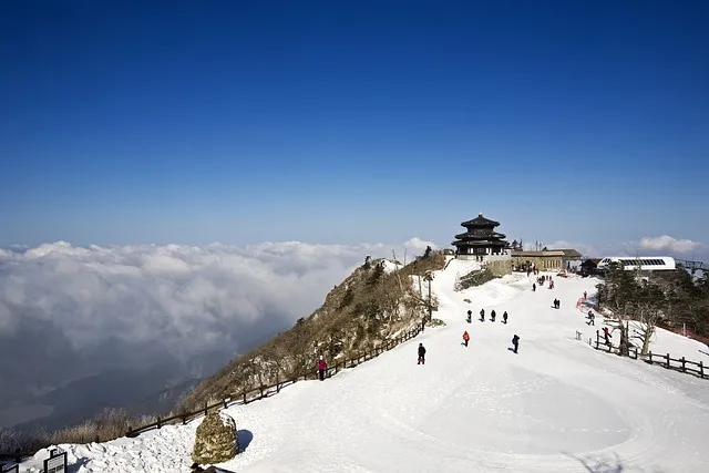 울산 가볼만한곳 베스트 10 여행 명소_7